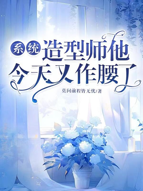 系统设计师工作