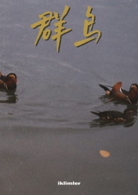 群鸟飞过湖面的动态描写50字